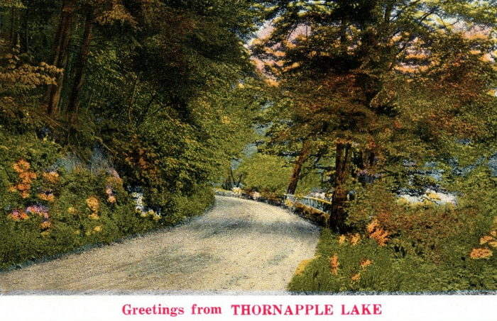 Reids Resort Thornapple Lake (Coles Landing) - Old Postcard (newer photo)